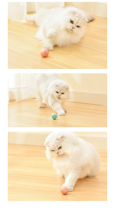 TGS - Pet  Ball Prey Toy